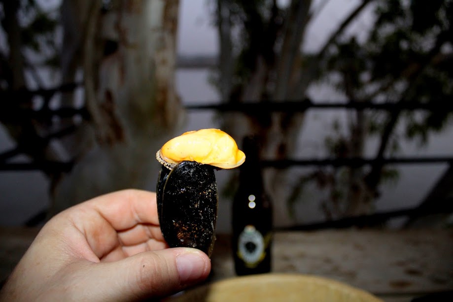 Moules, frites au Cap banga Un endroit à visiter à Niamey