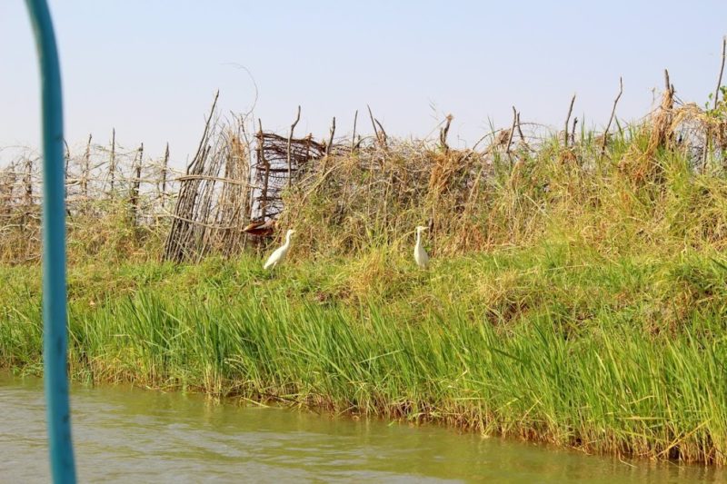 Une belle balade sur le fleuve Niger